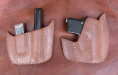 PH-3 and PSM-SF front
