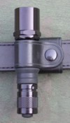 Z2 carrier